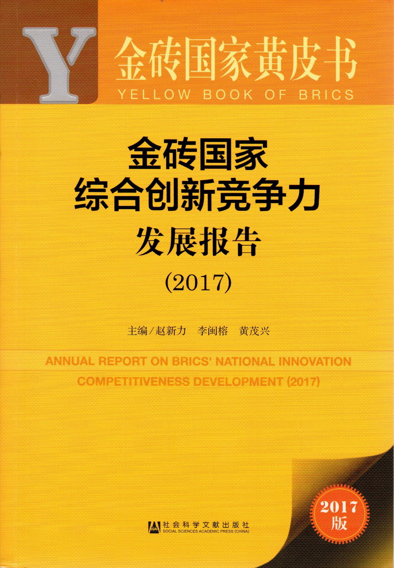 操死人逼逼高清总看免费的金砖国家综合创新竞争力发展报告（2017）